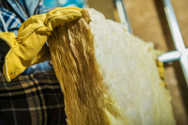 Best Insulation Maintenance and Repair in Warrior, AL